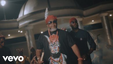 Photo of VIDEO: Larry Gaaga ft. Umu Obiligbo – Owo Ni Koko