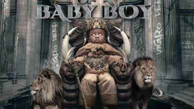 Photo of ALBUM: Vigro Deep – Rise Of A Baby Boy