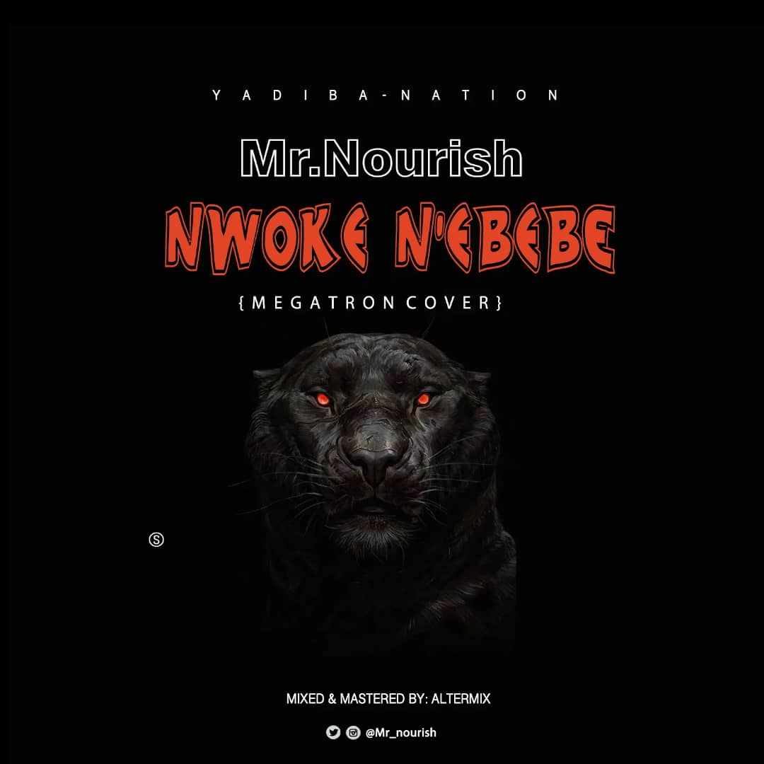Mr Nourish - Nwoke N'ebebe 