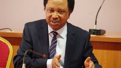 Photo of Northerners Living In South Should Not Be Molested – Shehu Sani