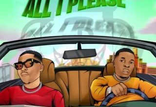 Photo of Wale Turner – All I Please ft. Reekado Banks